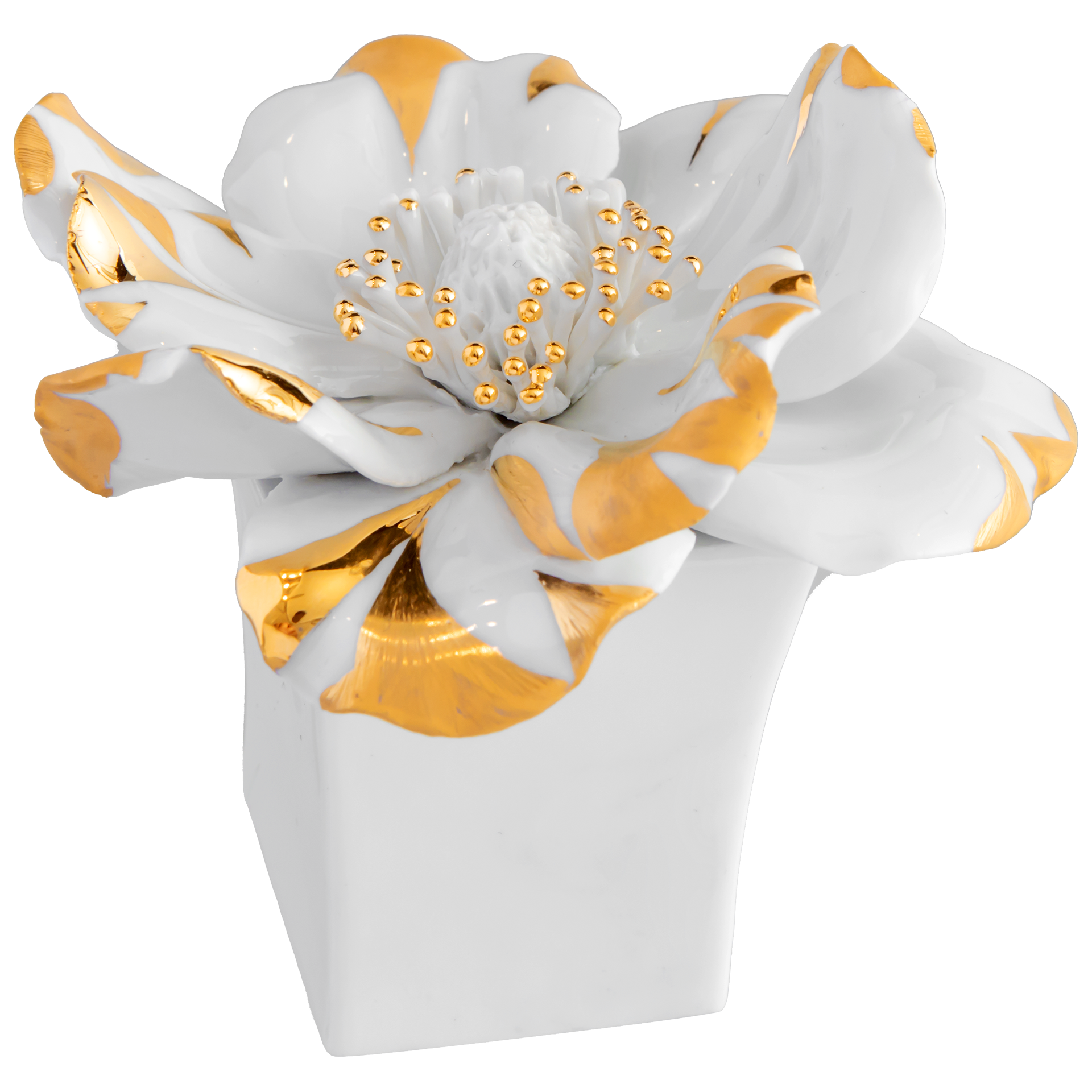 MEISSEN Table Flowers Anemone