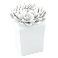Table flower, dahlia, white, H 9,5 cm