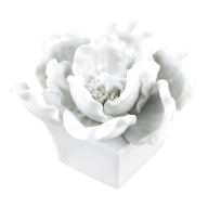 Table flower, poppy, white, H 5 cm