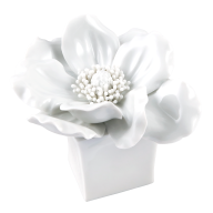 Table flower, anemone, white, H 7 cm