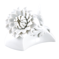 Tabe flower, aster, white, H 7 cm