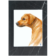 Wall plaque, My pet, dog portrait, 30 x 21 cm
