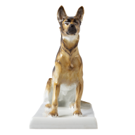 Dog Alsatian, Coloured, without gold