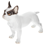 Dog Bulldog, Coloured, without gold, H 16,5 cm