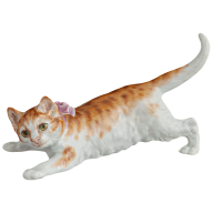 Cat, Light decoration, redbrown