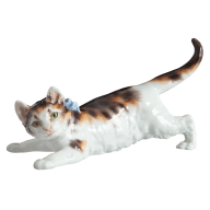 Cat, Light decoration blackbrown