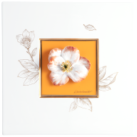 Wall painting with Camellia, Orange background, sign. H. Bretschneider, H 23 cm