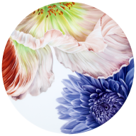 Wall Painting II, Giant Bloom, Lim. 15, Ø 40 cm