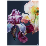 Wall painting, Giant Bloom - Iris and Poppy, Lim. 15, 75 x 51 cm