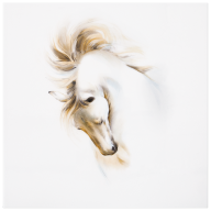 Wall picture, 30 x 30 cm