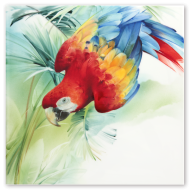 Wall Painting Amazon - Red Macaw, Lim. 25, 30 x 30 cm