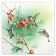 Wall Painting Amazon - Hummingbird, Lim. 25, 30 x 30 cm