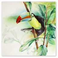 Wall Painting Amazon - Toucan, Lim. 25, 30 x 30 cm