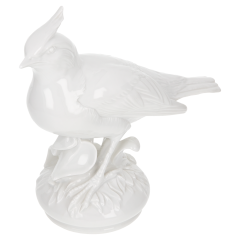 Bird Crester lark, white