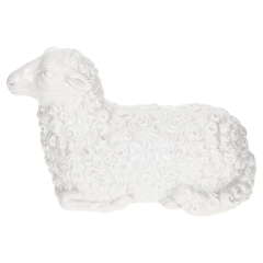 Sheep, white