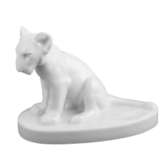 Lion cub, white