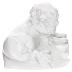 Dog on cushion, white