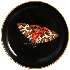 Dish with hanger, Black Bear Butterfly on black background, Ø 13 cm