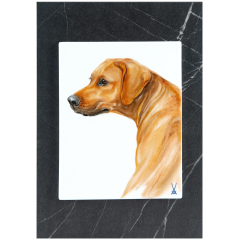 Wall plaque, My pet, dog portrait, 30 x 21 cm
