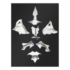 Wall painting Permanence lies in change IV, Unique wall plaque Helena Sekot, 70 x 50 cm