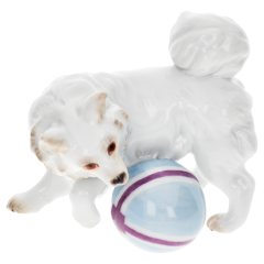 Dog Pomeranian dog with ball, Coloured, without gold