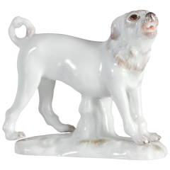 Dog Pomeranian dog, no bells, Coloured, without gold