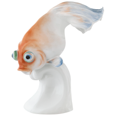 Fish Telescopefish, H 17 cm