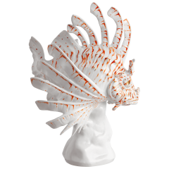 Fish Red lionfish, H 28 cm