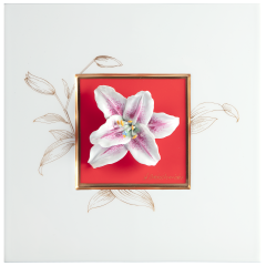 Wall painting with Lily, Red background, sign. H. Bretschneider, H 23 cm