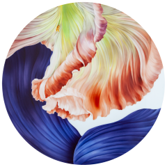 Wall Painting III, Giant Bloom, Lim. 10, Ø 50 cm