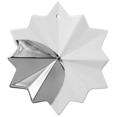 Christmas star, platinum Dot, H 10 cm