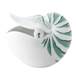 Nautilus shell 1, Unique Objects by Maria Walther, H 16 cm