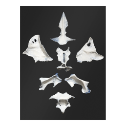 Wall painting Permanence lies in change IV, Unique wall plaque Helena Sekot, 70 x 50 cm