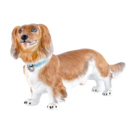 Dog Sausage dog, Coloured, without gold, H 11 cm