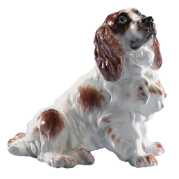Dog Cocker spaniel, seated, Coloured, without gold