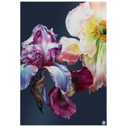 Wall painting, Giant Bloom - Iris and Poppy, Lim. 15, 75 x 51 cm
