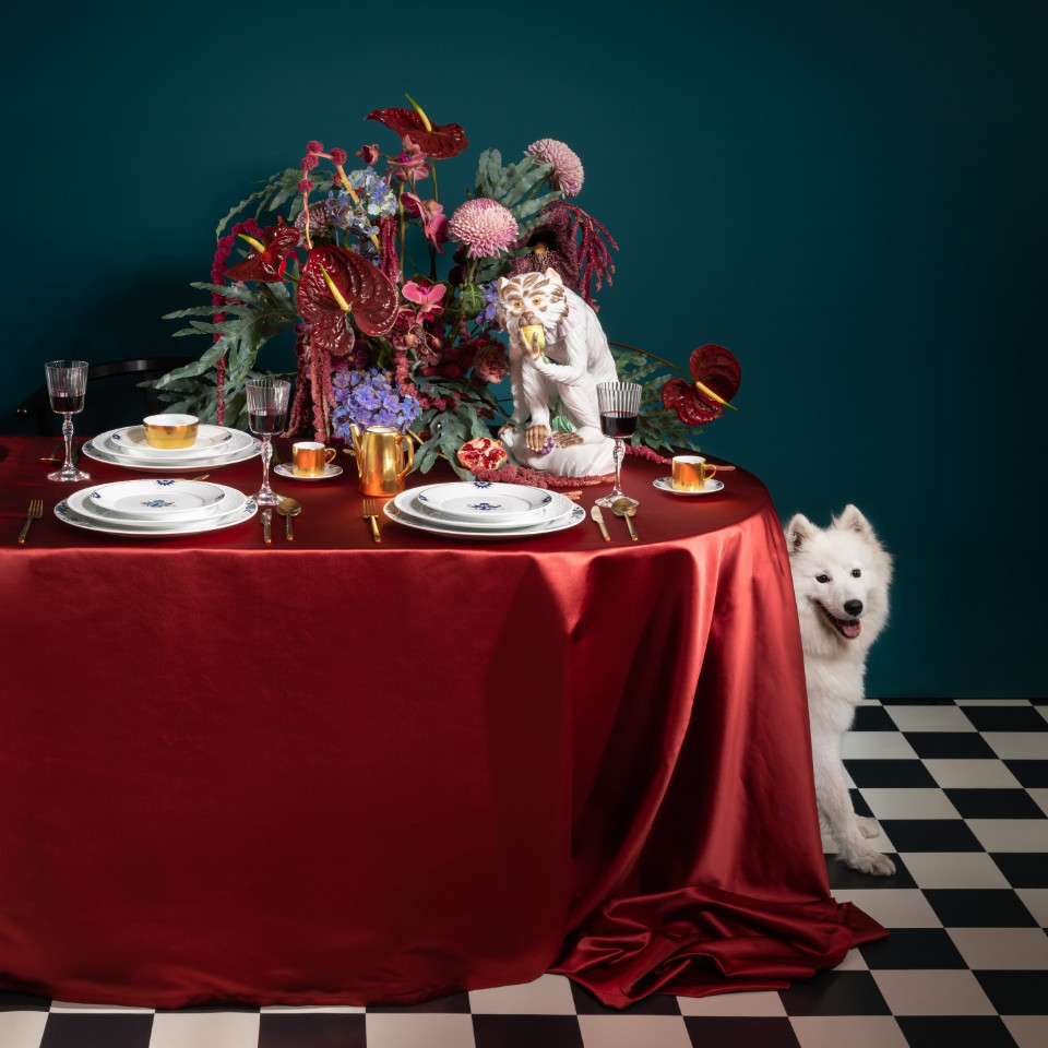 No 41 Tableware Collection | Meissen Porcelain Manufactory